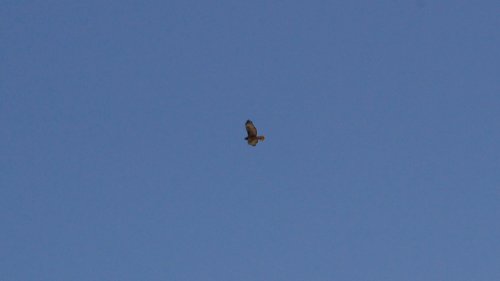 IMG_2819
