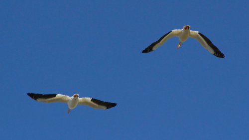 IMG_2629