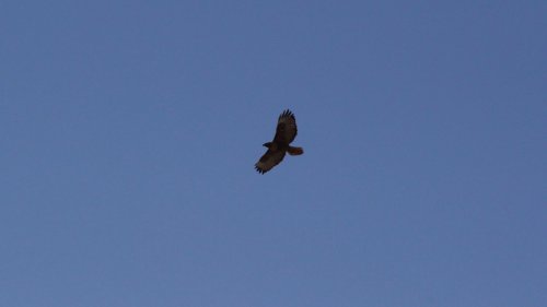 IMG_2541