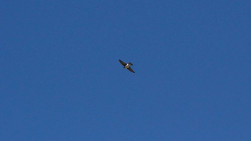 IMG_2824