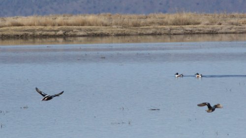 IMG_2642