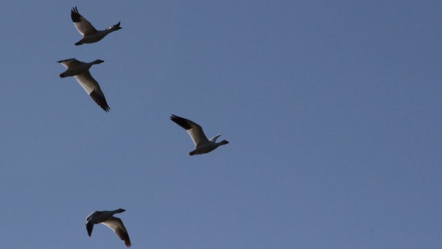IMG_2568