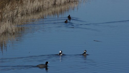 IMG_2769