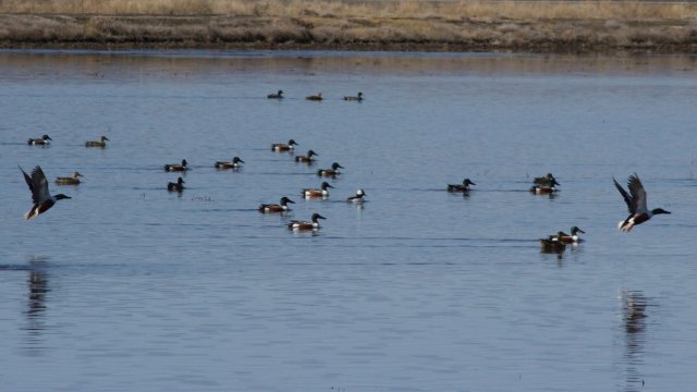 IMG_2647