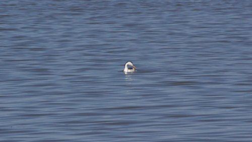 IMG_2890