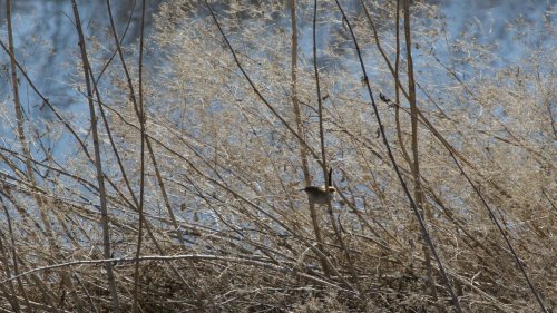 IMG_2810
