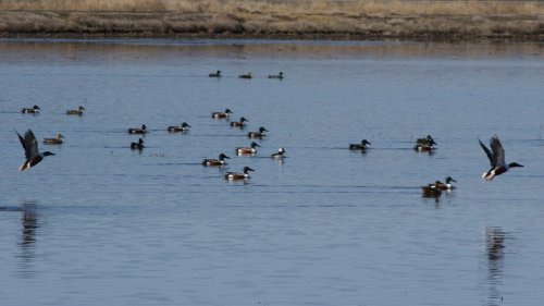 IMG_2647