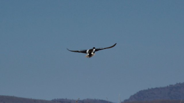 IMG_2784