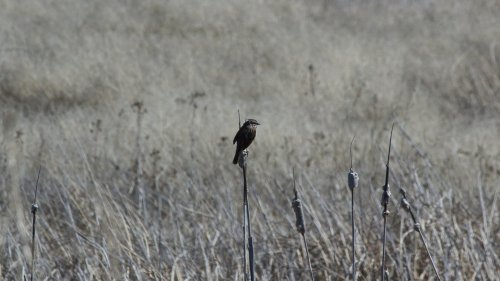 IMG_2848