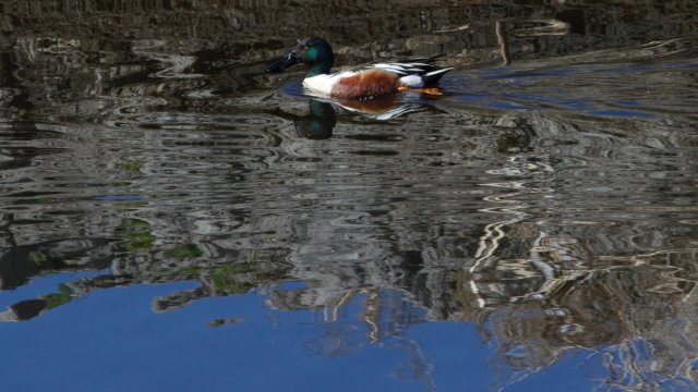 IMG_2781