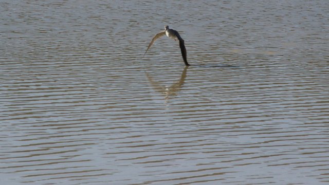 IMG_3025
