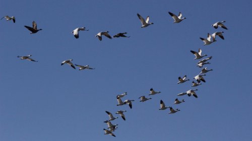 IMG_2574