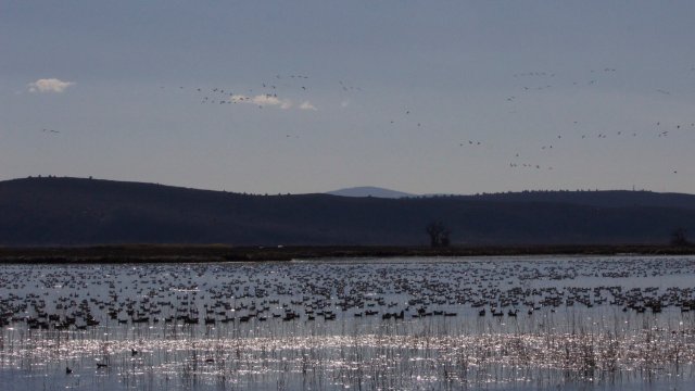 IMG_3004