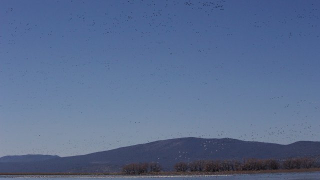 IMG_2757
