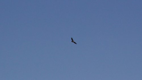 IMG_2771