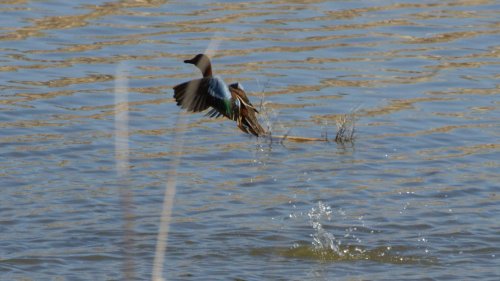 IMG_2959