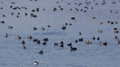 IMG_2704