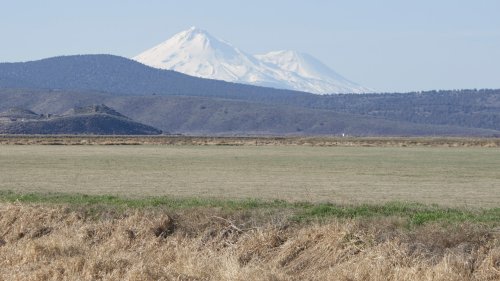 IMG_2536