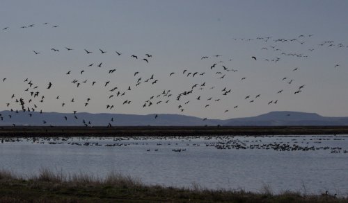 IMG_2560