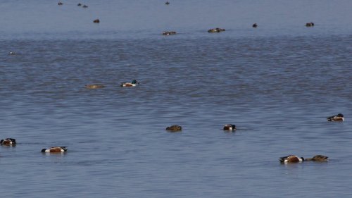 IMG_2881
