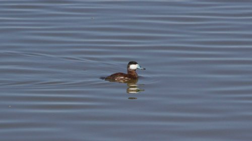 IMG_2877
