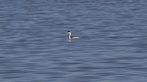 IMG_2893