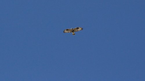IMG_2843