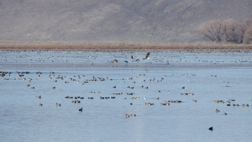 IMG_2692
