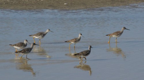 IMG_3030