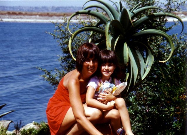 California83_1