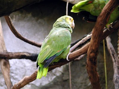 P9290078