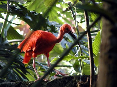 P9290069