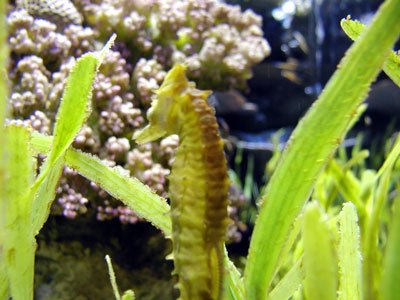 P9290036