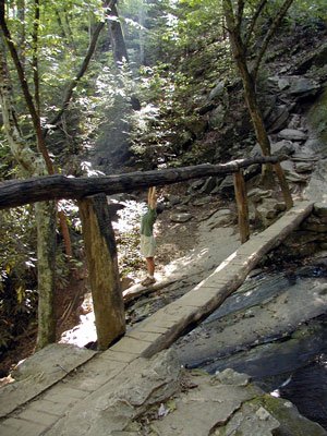 P9190091