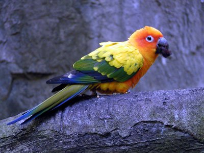 P9290077