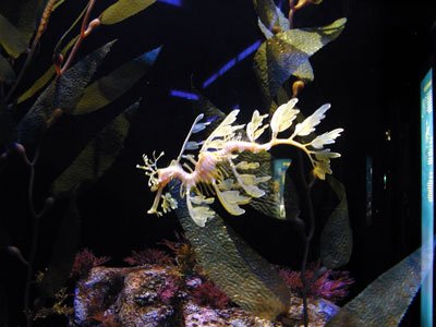 P9290046