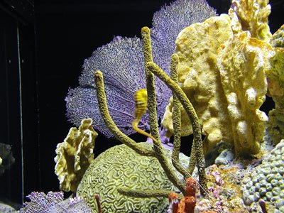P9290028
