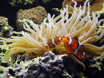 P9290059