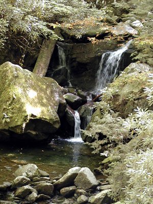 P9180007