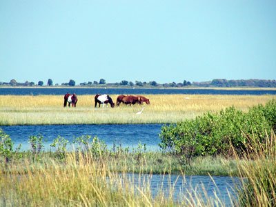 P9250026