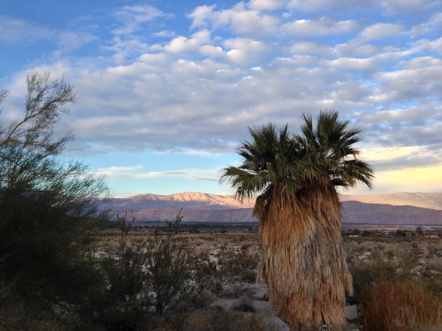 Anza Borrego