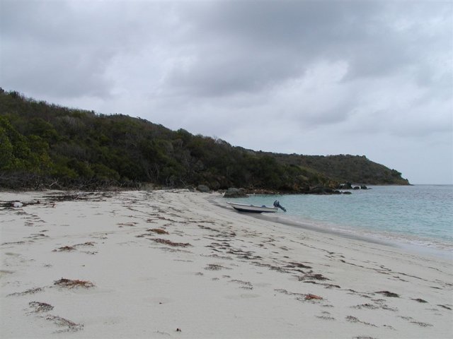 P4060065