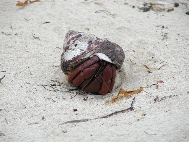 P4060070