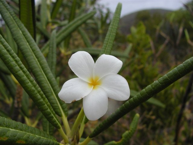 P4050036