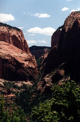 kolob1