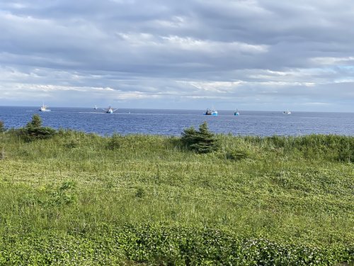 IMG_7864