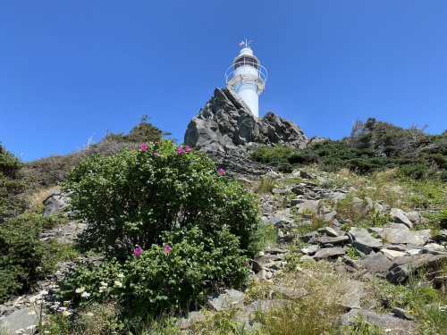 IMG_8086