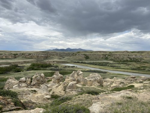 IMG_7309