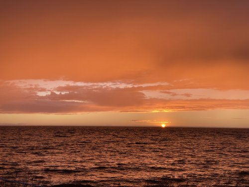 IMG_7779