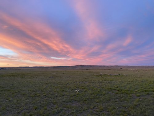 IMG_7369